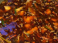 -胖子鱼·天水麻辣鱼火锅(秦州407店)