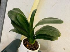 -小菜园新徽菜(镇江京口吾悦店)