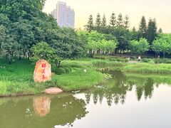 -映月湖公园