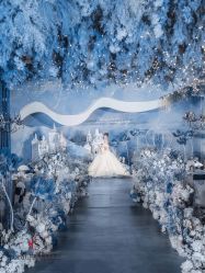 -红丝高端婚礼中心(旗舰店)