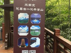 -紫金山索道-售票处