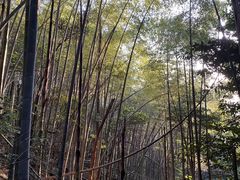 -会稽山峡洞漂流-上青古道