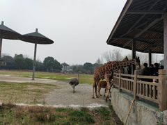 -宁波野生动物园