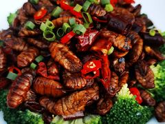 -江边渔家(龙舟文化园店)