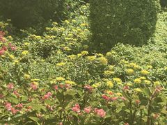 -成都银泰中心in99