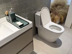 -红星美凯龙(上海沪南店)