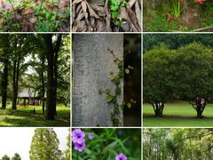 -杭州植物园