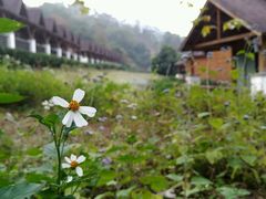 -德庆盘龙峡生态旅游区