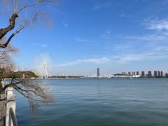 -无锡蠡湖国家湿地公园-蠡园