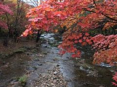 -九鼎铁刹山风景区