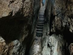 -鲁山国家森林公园