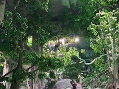 -福州罗源湾海洋世界旅游区
