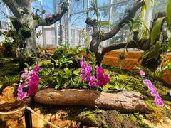 -国家植物园南园