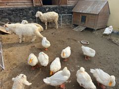 -HERRE·FARM 赫尔露营农场·团建聚会包场