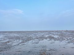 -南汇新城海滩