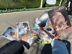 -青藏高原野生动物园