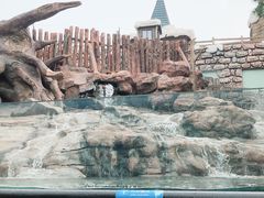 -杭州长乔极地海洋公园