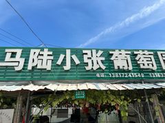 -马陆小张葡萄园农家乐