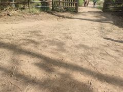 -野象谷景区