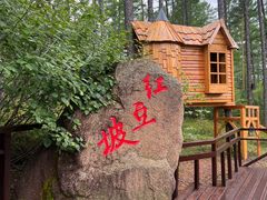 -莫尔道嘎国家森林公园