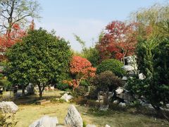 -镇江市南山风景名胜区竹林景区