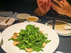 -三强鸽子(中原路店)