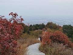 -北京西山国家森林公园