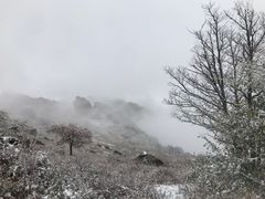 -克什克腾世界地质公园青山景区