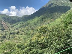 -东天目山风景区