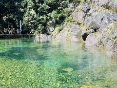 -鼎湖山风景区