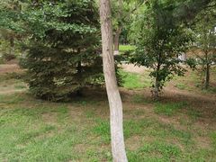 -长白岛森林公园