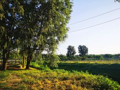 -月河湾马术俱乐部(朝阳店)