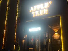 门面-苹果树下艺术餐厅(宋庄店)