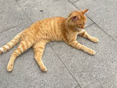 -重元寺香积厨素斋馆