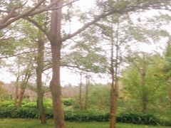 -白沙门生态公园