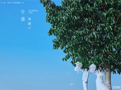 -聚焦旅拍(大理店)