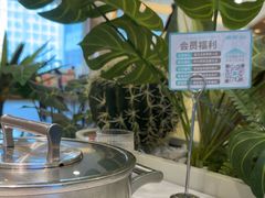 -椰客·海南椰子鸡(新塘永旺梦乐城店)