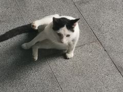 -1点点(新达汇三林店)