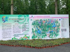 -东平国家森林公园