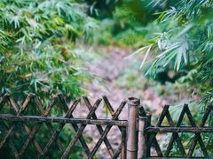 -法云古村