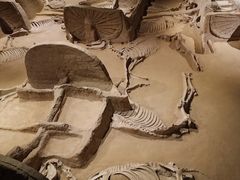 -洛阳周王城天子驾六博物馆