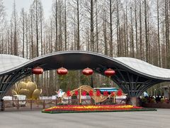 -东平国家森林公园