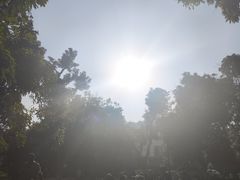 -张坝桂圆林公园