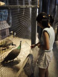 -酷嗒动物文化乐园(cutezoo西溪乐天城店)