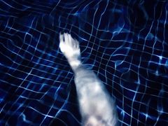 -天安数码城会所游泳馆