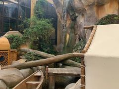 -杭州开元森泊度假乐园