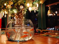 -烛影拾光观景餐厅·创意菜·摄影·小提琴(大唐不夜城店)