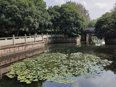 -西溪国家湿地公园