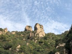 -大岭沟猕猴桃谷风景区