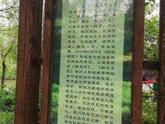 -新江湾城公园
